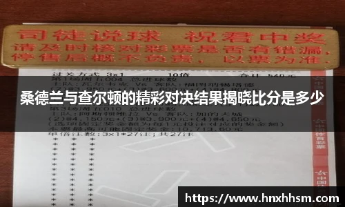 桑德兰与查尔顿的精彩对决结果揭晓比分是多少